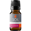Organic Rose Geranium Essential Oil (Pelargoneum Graveolens) 10ml