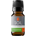 Organic Lemongrass Essential Oil (Cymbopogon Citratus) 20ml