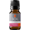 Organic Bergamot Essential Oil (Citrus Bergamia) 10ml