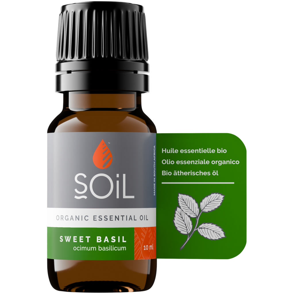 Organic Basil Essential Oil (Ocimum Basilicum) 20ml