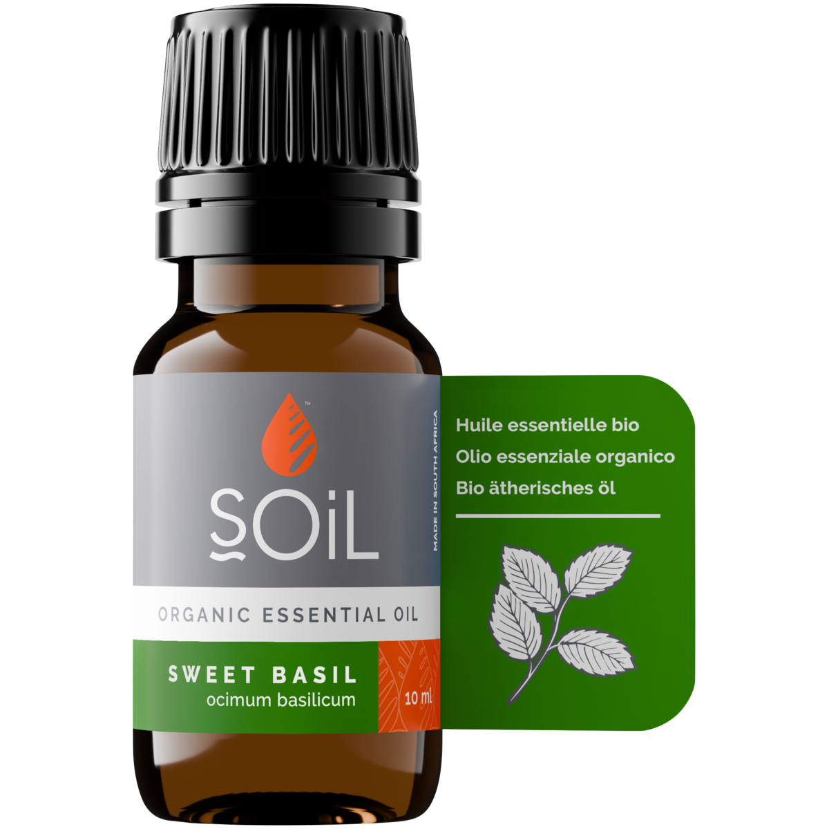 Organic Basil Essential Oil (Ocimum Basilicum) 20ml