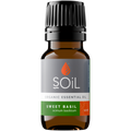 Organic Basil Essential Oil (Ocimum Basilicum) 20ml