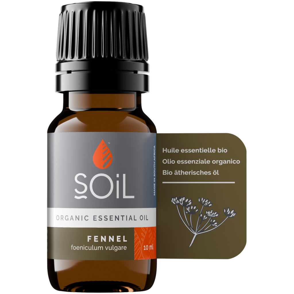 Organic Fennel Essential Oil (Foeniculum Vulgarus) 10ml