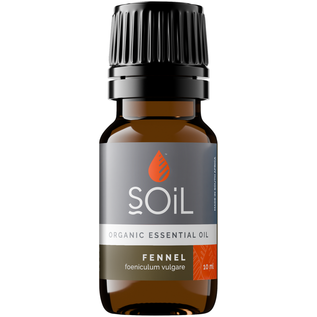 Organic Fennel Essential Oil (Foeniculum Vulgarus) 10ml