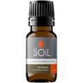Organic Fennel Essential Oil (Foeniculum Vulgarus) 20ml