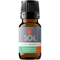Organic Palmarosa Essential Oil (Cymbopogon Martini) 20ml