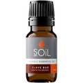 Organic Clove Bud Essential Oil (Eugenia Caryophillus) 10ml