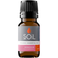 Organic Benzoin Essential Oil (Styrax Tonkinensis Resin and Alcohol) 10ml