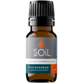 Organic Wintergreen Essential Oil (Gaulteria Procumbens) 20ml