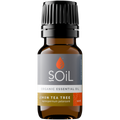 Organic Lemon Tea Tree Essential Oil (Leptospermum Petersonii) 10ml