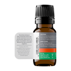 Focus - Organic Essential Oil Blend 10ml