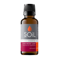 Organic Cinnamon Leaf Essential Oil (Cinnamoumm Zeylanicum) 30ml