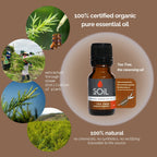 Organic Tea Tree Essential Oil (Melaleuca Alternifolia) 20ml