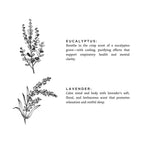 Eucalyptus + Lavender - Signature Candle