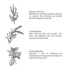 Of The Sea - Signature Candle (Eucalyptus + Lavender + Peppermint)