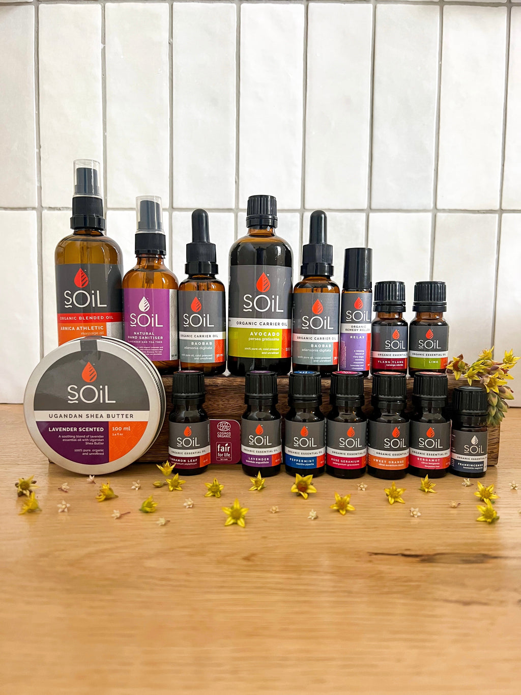 Organic Rosemary Essential Oil (Rosemarinus Officinalis) 10ml